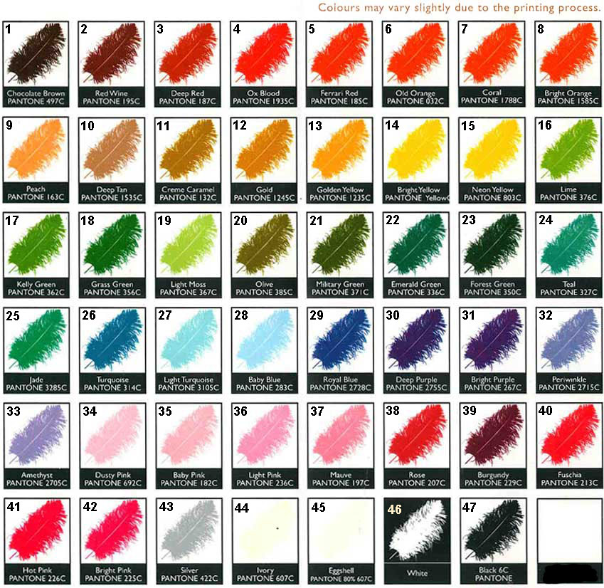 pantone color chart