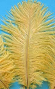 gold ostrich feathers