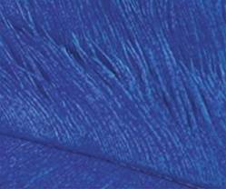 royal-blue-ostrich feathers
