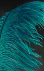 teal ostrich plumes