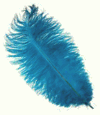 turquoise ostrich feathers