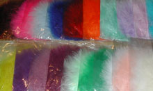 ostrich feather colours