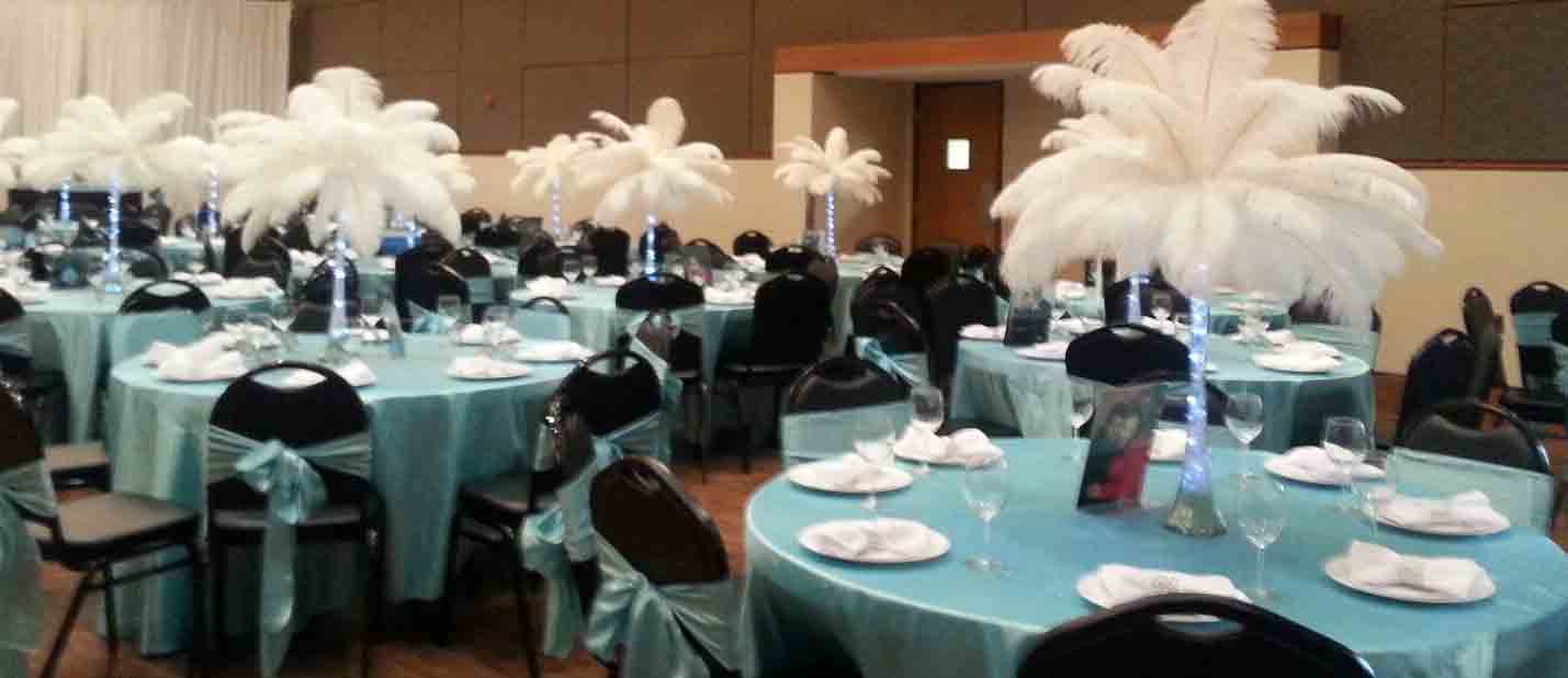 white ostrich feathers rented