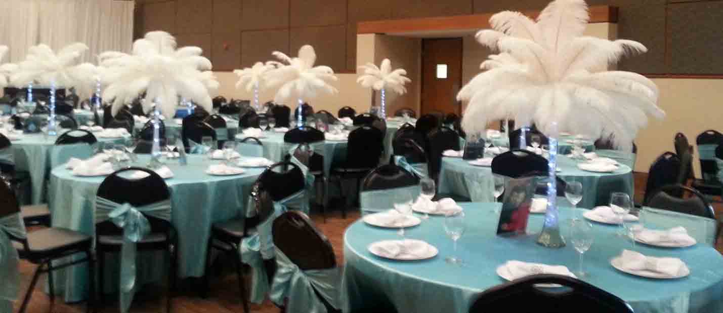 white ostrich feathers rented