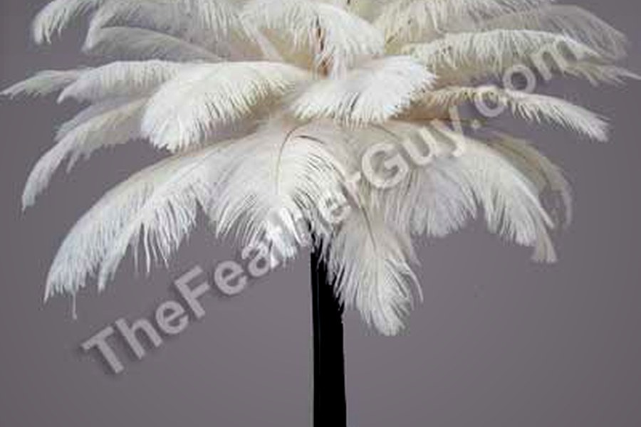 White feather arrangement