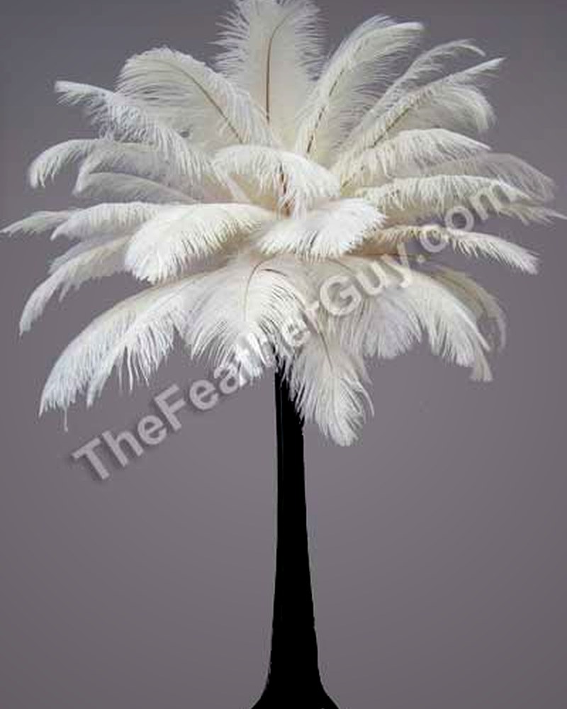 Tall white feather centrepiece